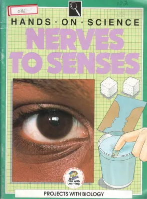 NERVES TO SENSES