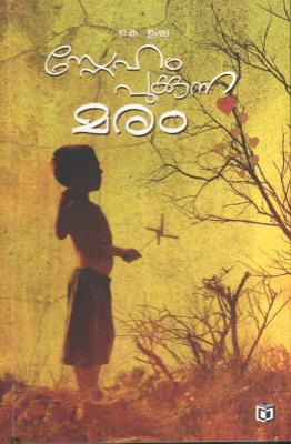 Vasantha Manjadiyil Oru Angnikoodu BY Priya Varghese