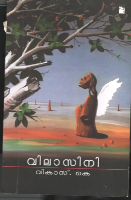 Vilasini BY Vikas K