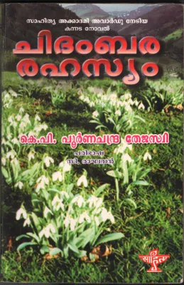Chidhambara Rahasyam by KP Poorna Chandra Thejaswi -C Raghavan