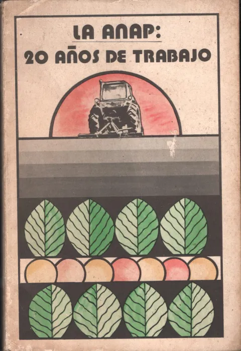 La Anap 20 Anos De Trabajo BY Group Of Editors