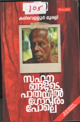 Sahanangalude Pathayil Gopuram Pole BY Karivellur Murali