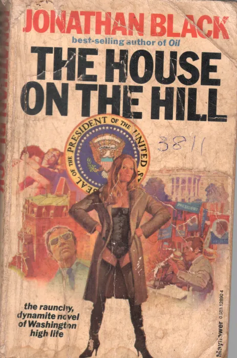 THE HOUSE ON THE HILL BY JONATHAN BLACK