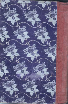 JODI HAKKI HAARITU BY SRI H.G. RASHADEVI