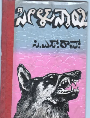 SEELU NAYI BY C.S.RAO