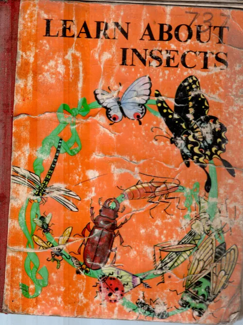 LEARN ABOUT INSECTS
