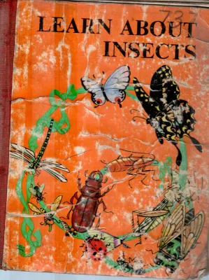 LEARN ABOUT INSECTS