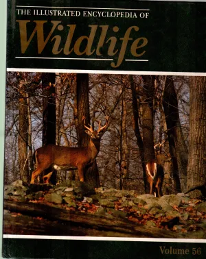 THE ILLUSTRATED ENCYCLOPEDIA OF WILDLIFE