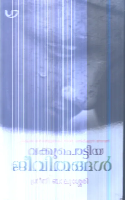 Vakkupottiya Jeevithangal By Srini Balussery