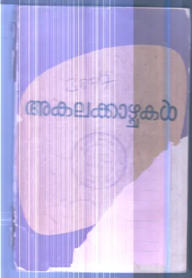 Akalakazhchakal By P.Meera Kutty